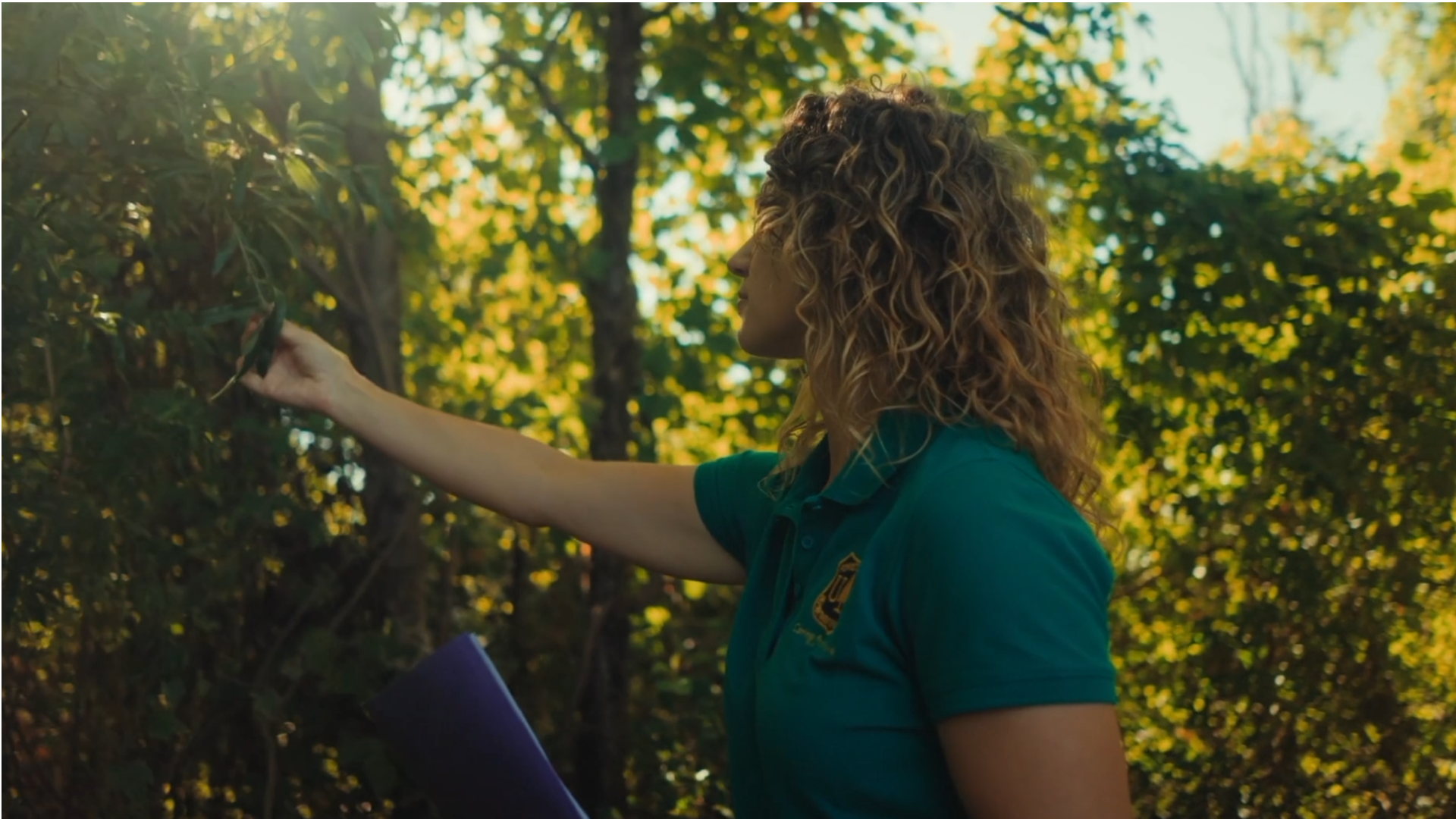 Forest service worker evaluating the trees