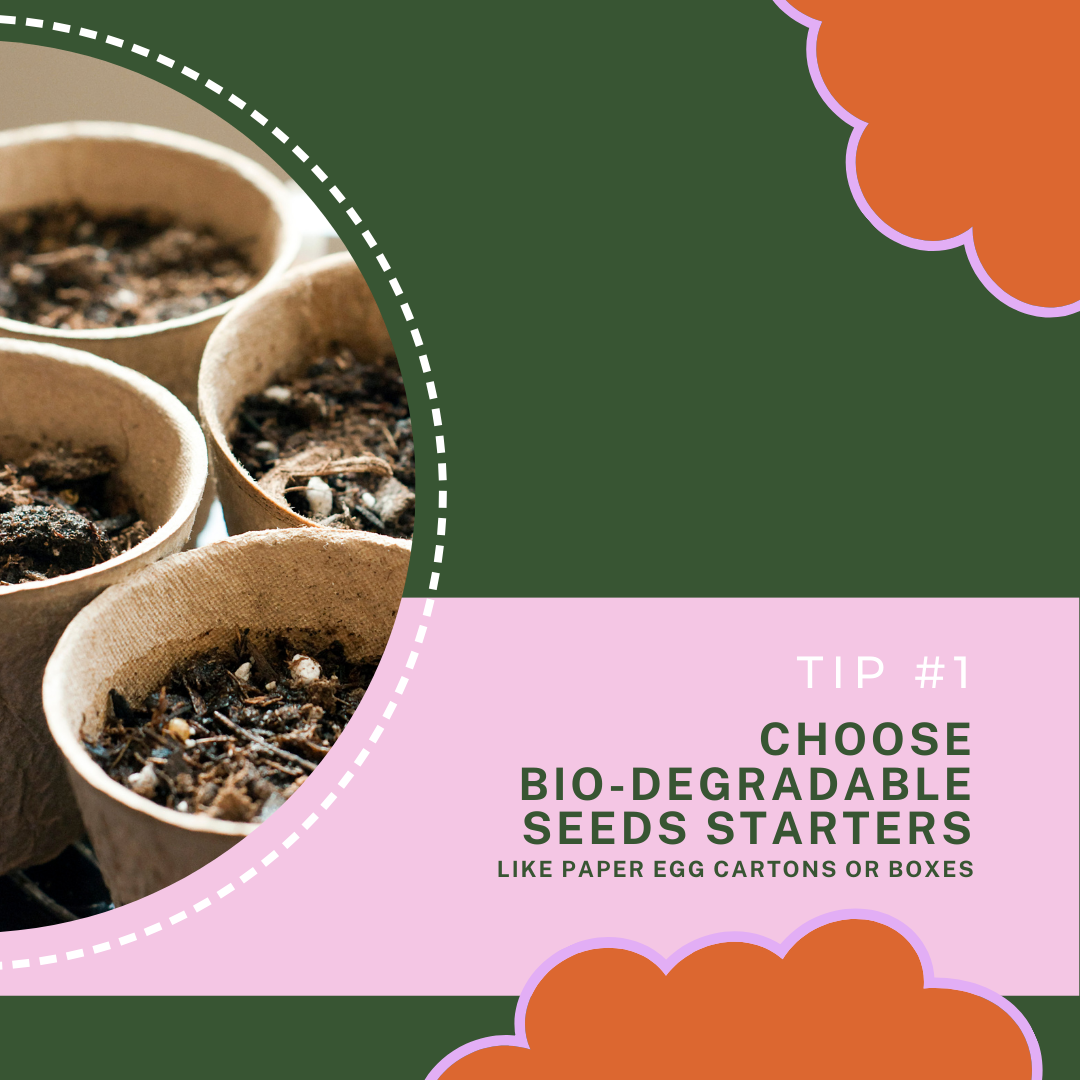 Seed starters