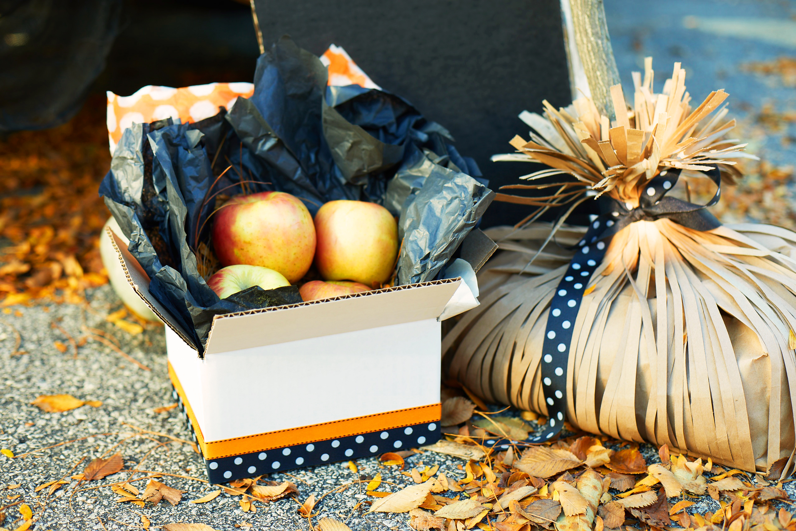 Harvest box