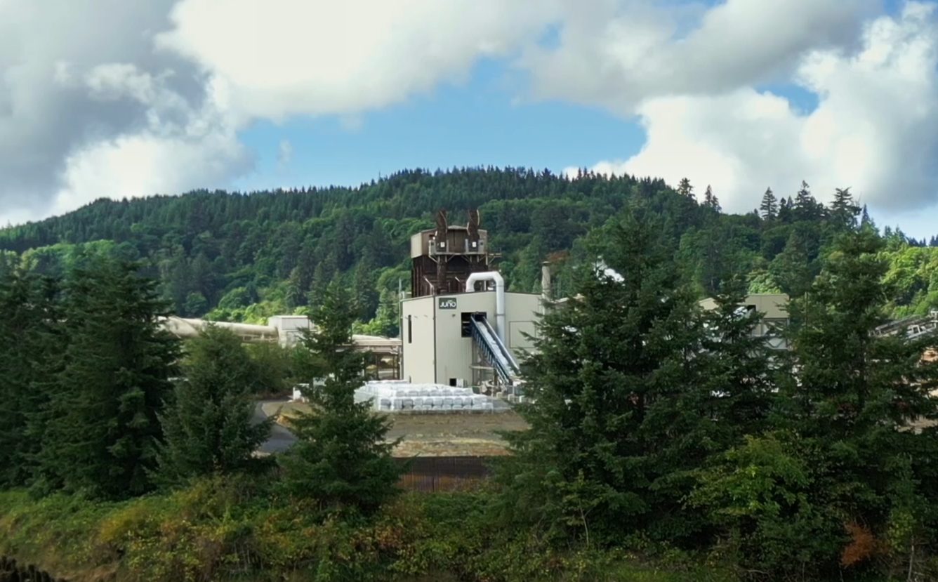 Recycling plant surrounded by trees