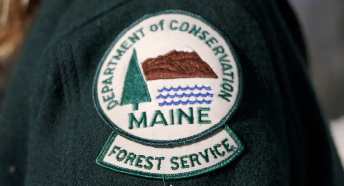Project Canopy provides grants to cites and town in Maine