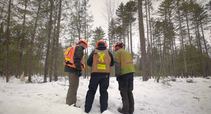 Foresters working together to make a plan