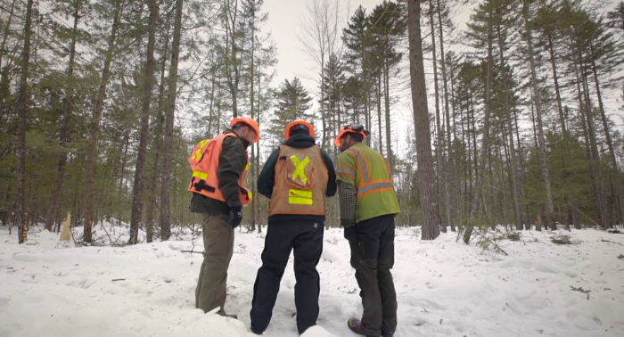 Foresters working together to make a plan 