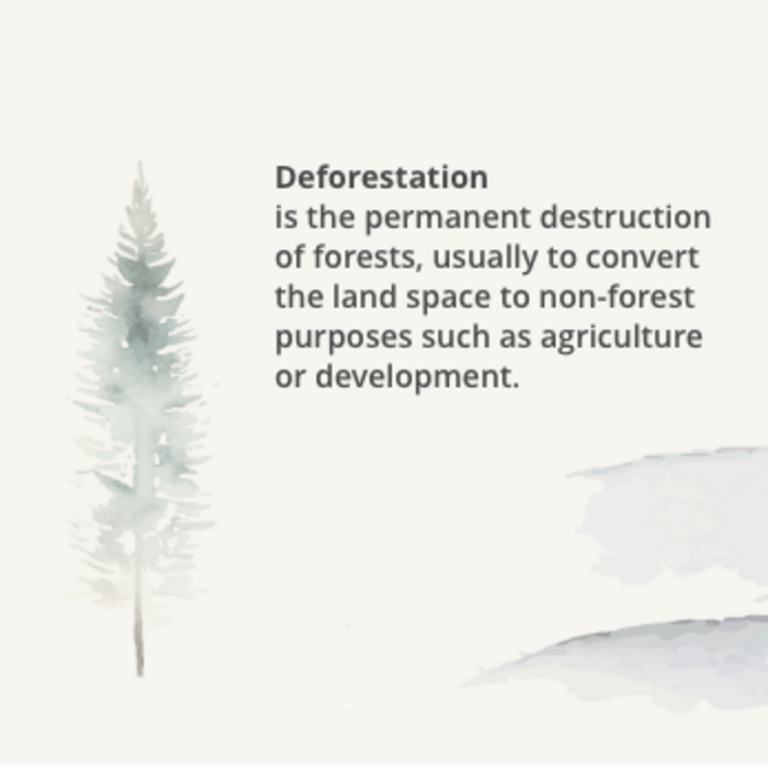 single tree shown in image