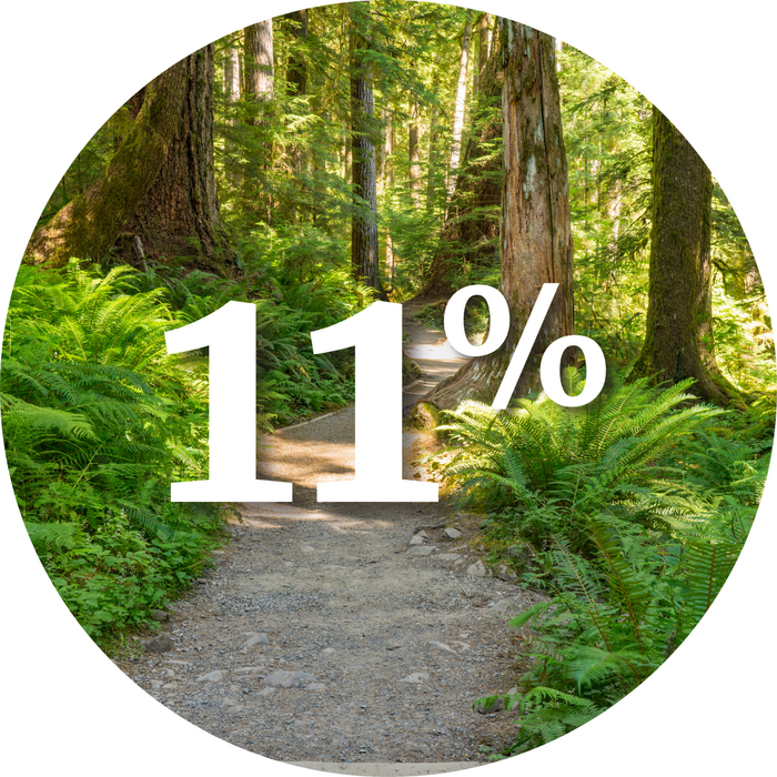11% stat