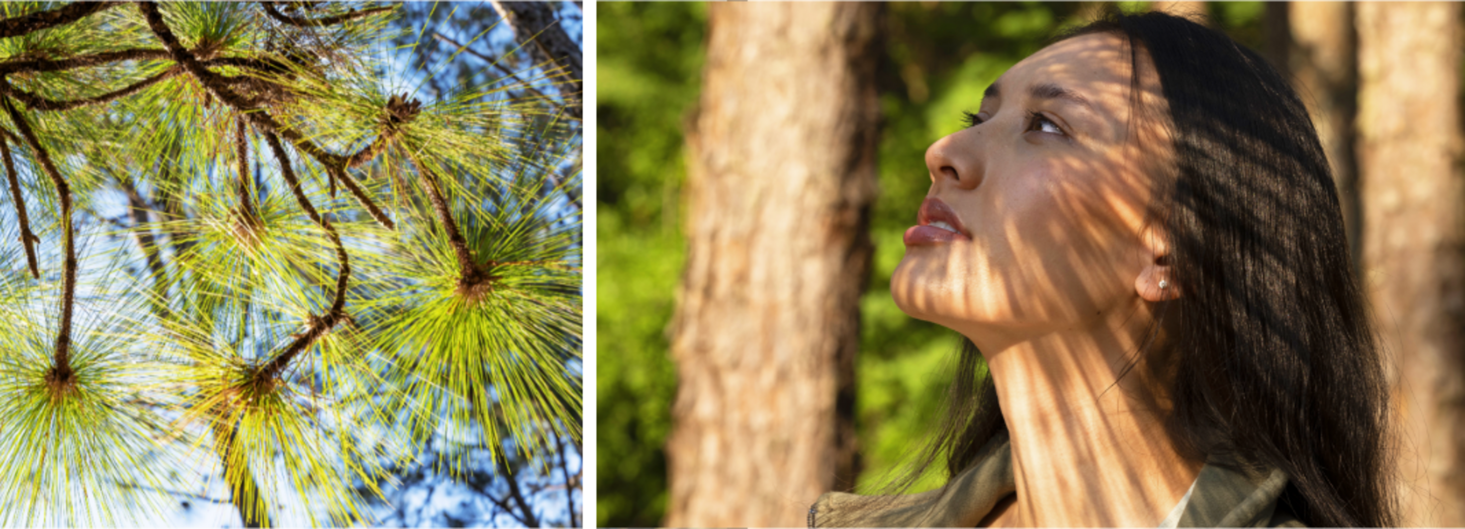 Women forest bathing