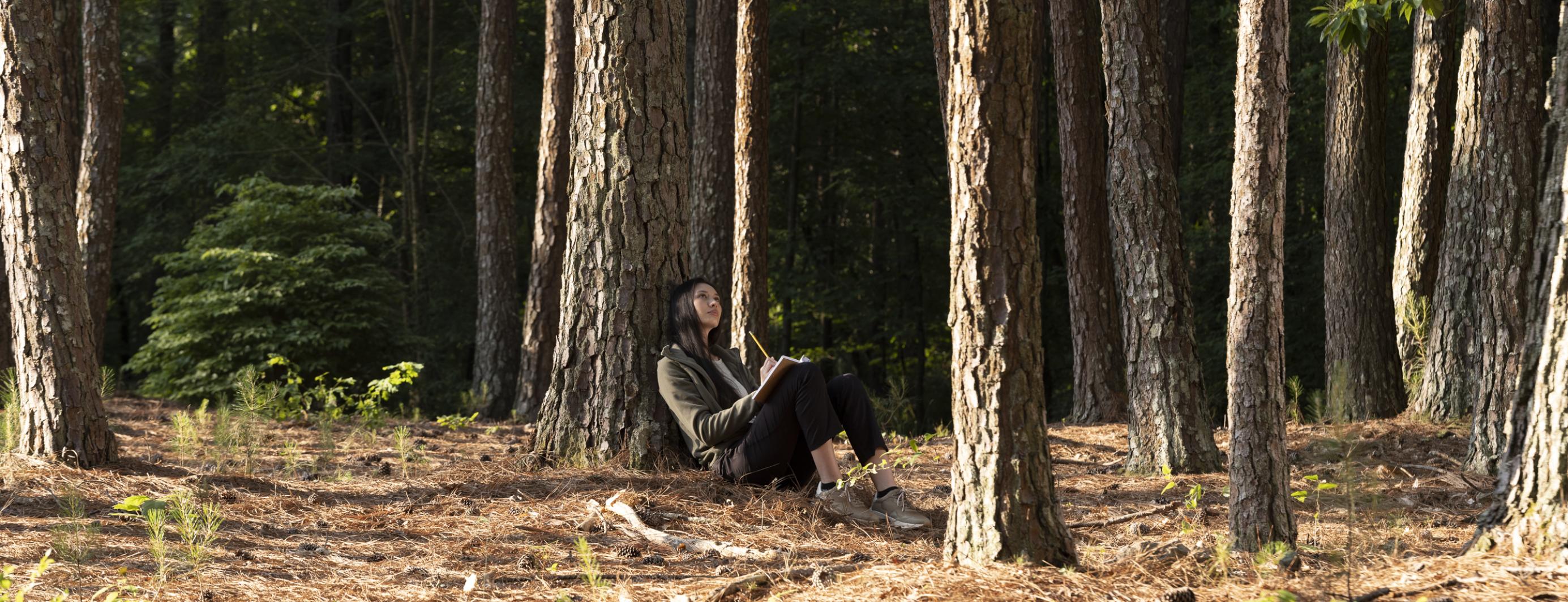 Reading in forest