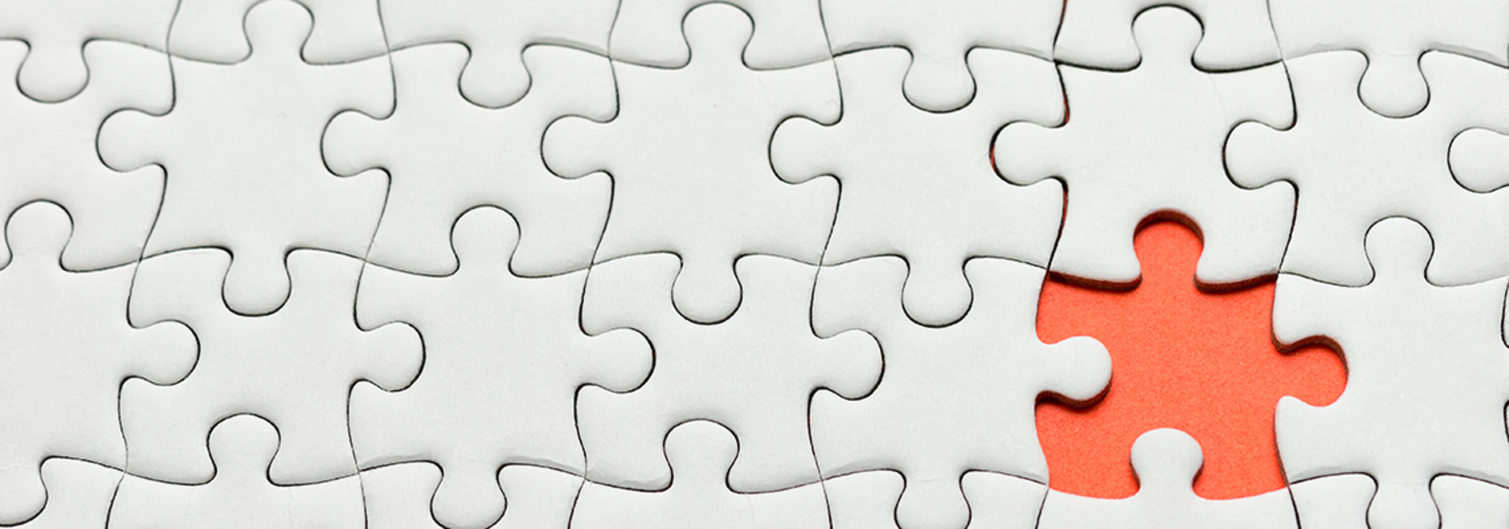NationalPuzzleDay1140x400 NationalPuzzleDay1140x400