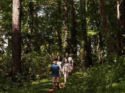 Family walking through the woods together