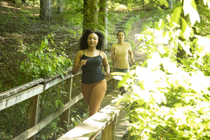 Women walking in the forest