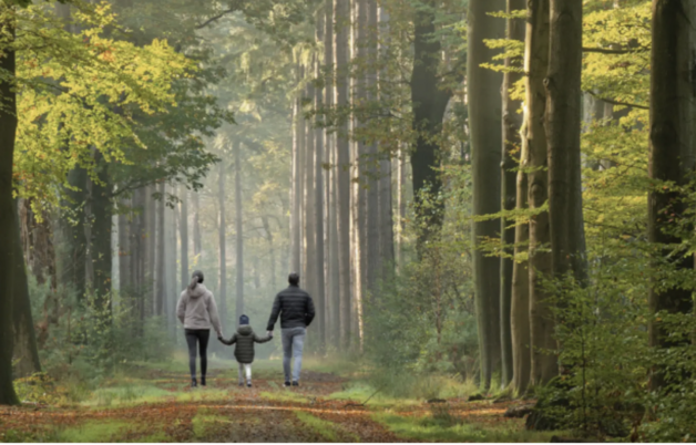 Family walking in a forest