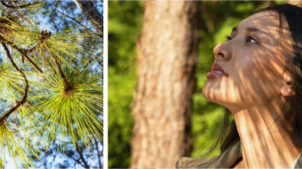 Women forest bathing