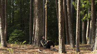 Reading in forest