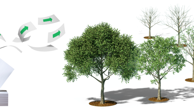 Paper products and trees of all ages