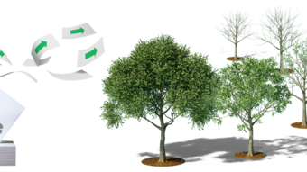 Paper products and trees of all ages