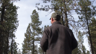 Man looking up into trees