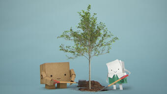 Tree_TV_Still_800x470