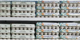 Egg Wall