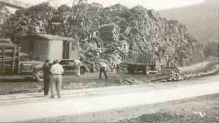 Big Island, VA mill history