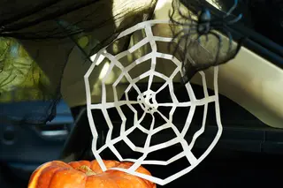 Spiderweb