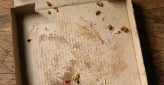 Greasy pizza box