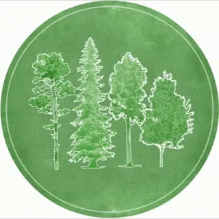 Green circle flowing tree gif