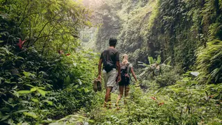 Walking in the woods
