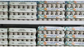 Egg Wall