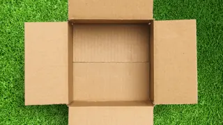 Empty Cardboard Box